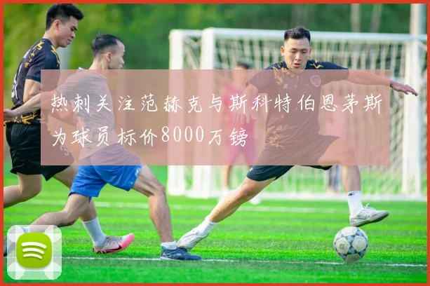 热刺关注范赫克与斯科特伯恩茅斯为球员标价8000万镑